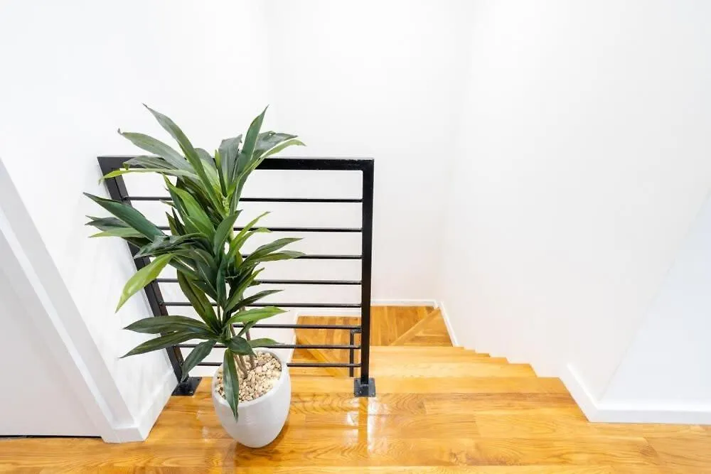 纽约13-3 I Brand New 4Br 3Bth Duplex Private Roof Deck公寓 美国